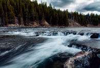 Gently Down the Stream